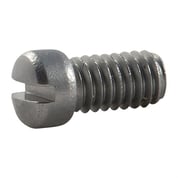 SMITH & WESSON - SIDE PLATE SCREW, GLASS BEADED