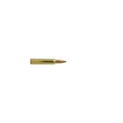 WINCHESTER - Winchester Super-X 223 Rem 55gr JSP 20/bx