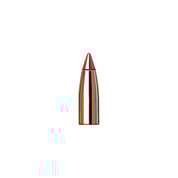 HORNADY - V-MAX® 17 CALIBER (0.172") POLYMER TIPPED FLAT BASE BULLETS