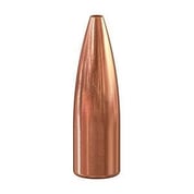 SPEER - TNT 6MM (0.243') HOLLOW POINT BULLETS