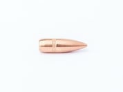 CAMPRO - CAMPRO 22 CALIBER (0.224") BULLETS