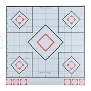 BIRCHWOOD CASEY - WHITE & BLACK SHOOT-N-C TARGETS
