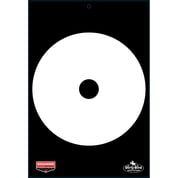 BIRCHWOOD CASEY - DIRTY BIRD QUICKDRAW 12 X 18" TARGETS