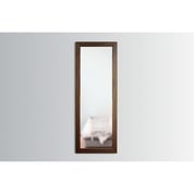 TACTICAL WALLS - 1450 FRAMED CONCEALMENT MIRROR