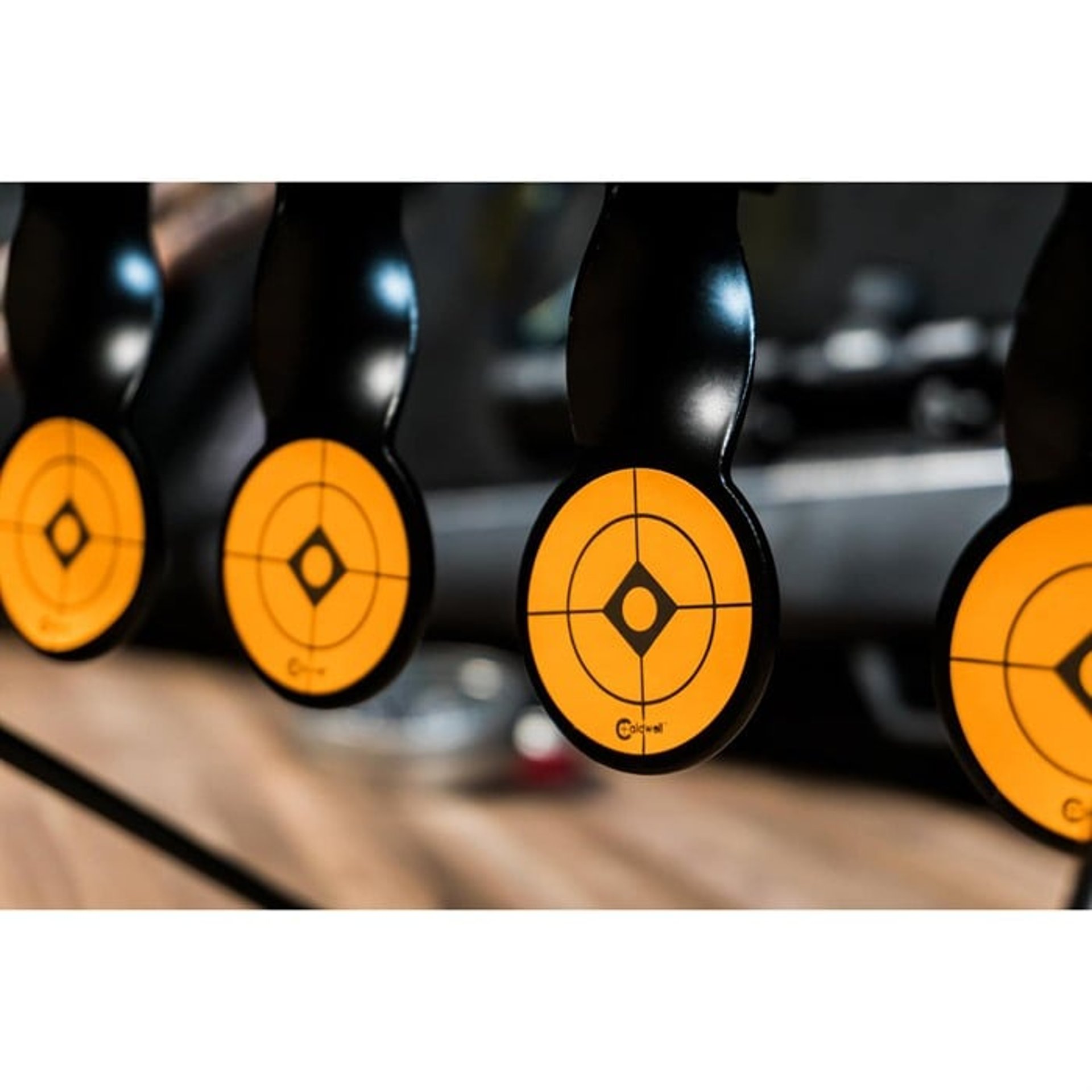 Rimfire Resetting Target