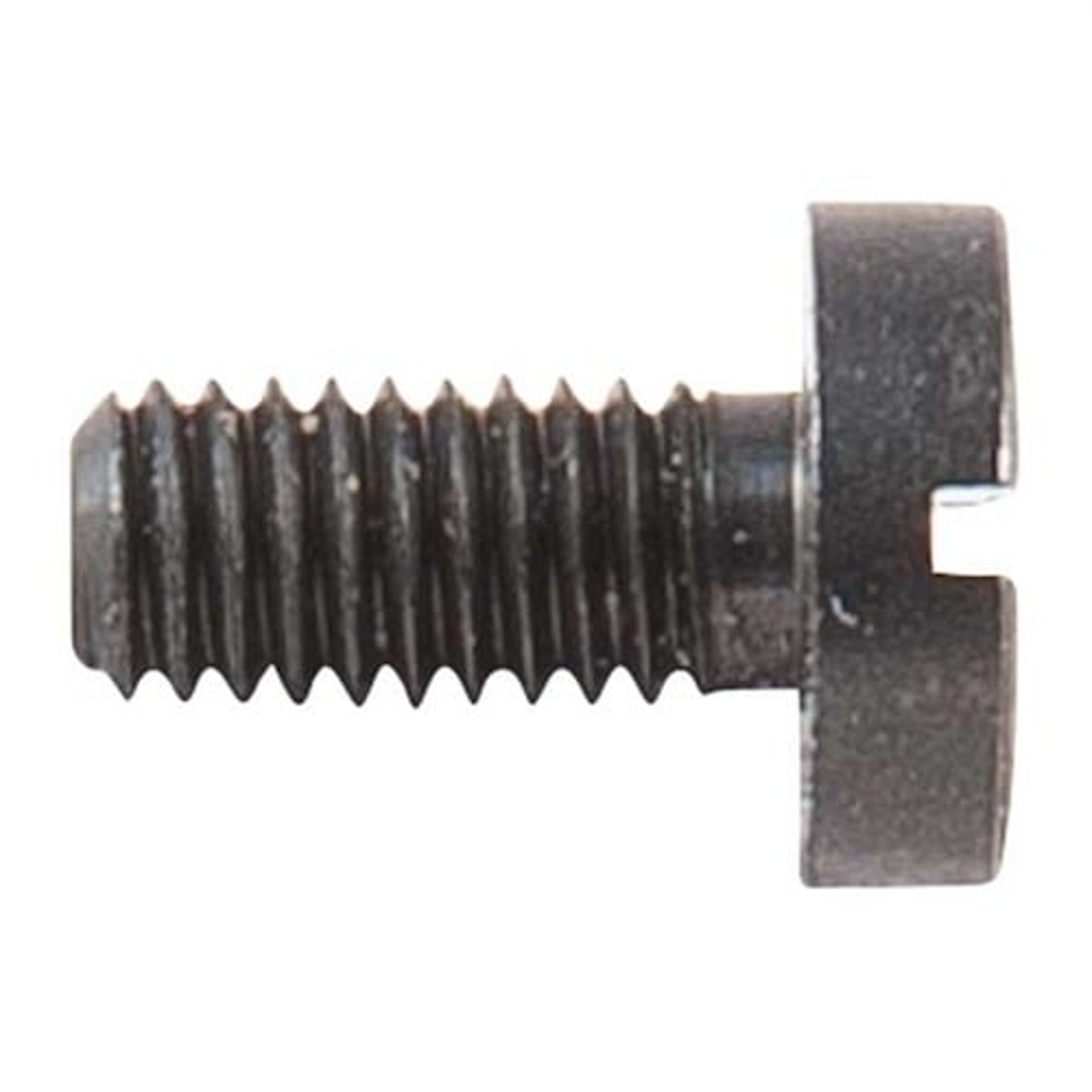 l_913100069_4.jpg