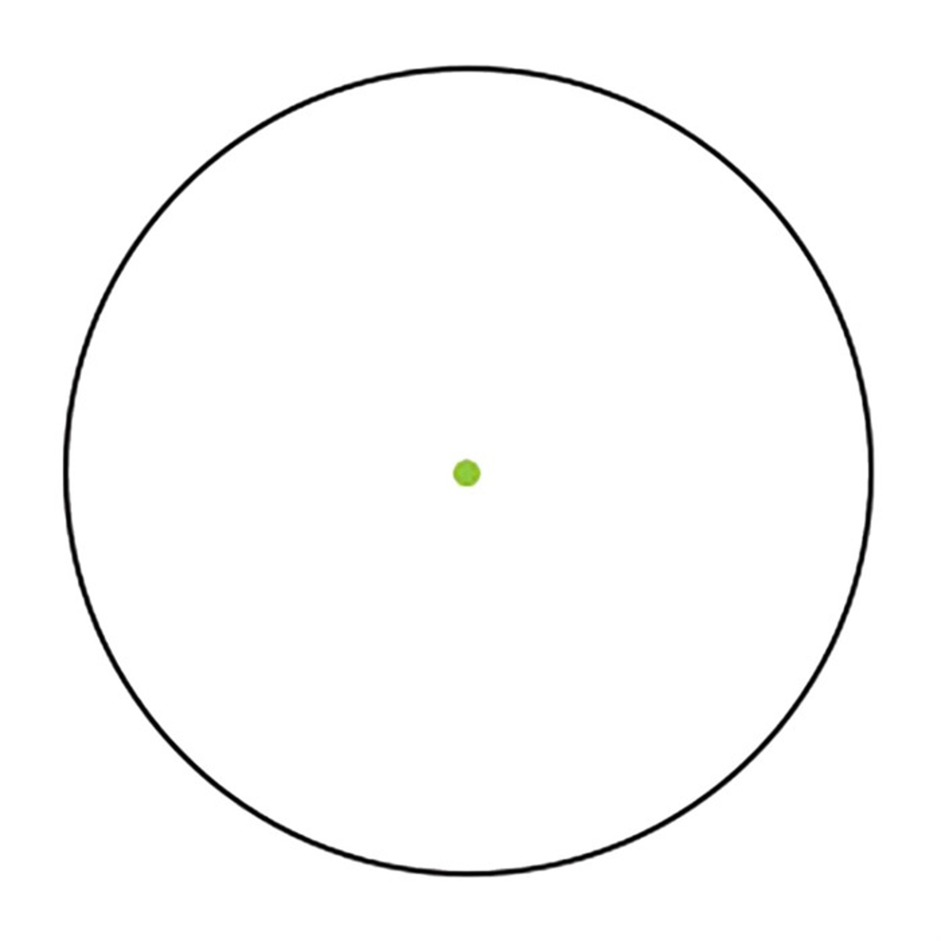 l_892000416_8.jpg