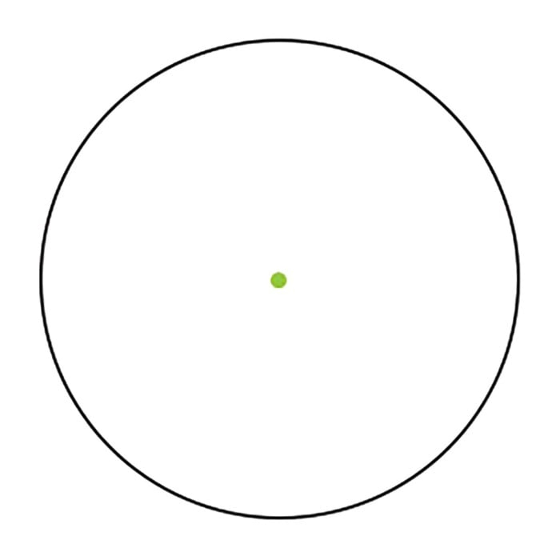 l_892000415_7.jpg