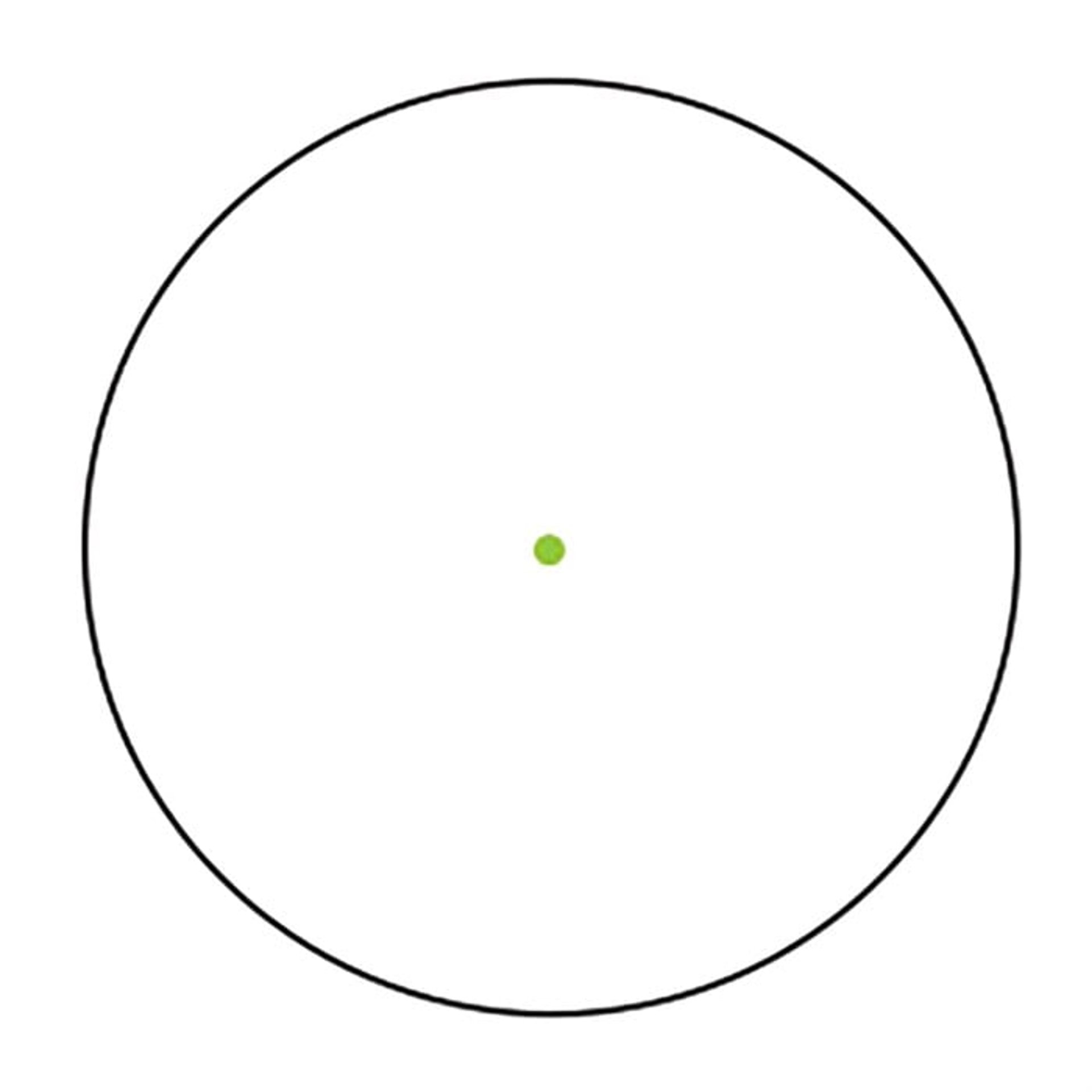 l_892000417_8.jpg