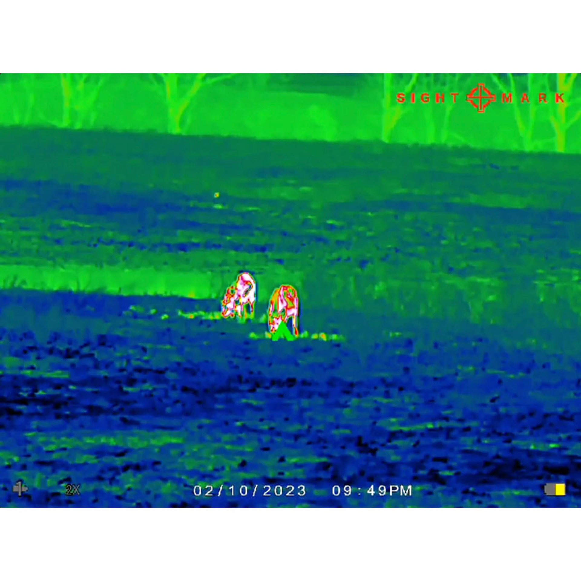 430111995_80W.jpg