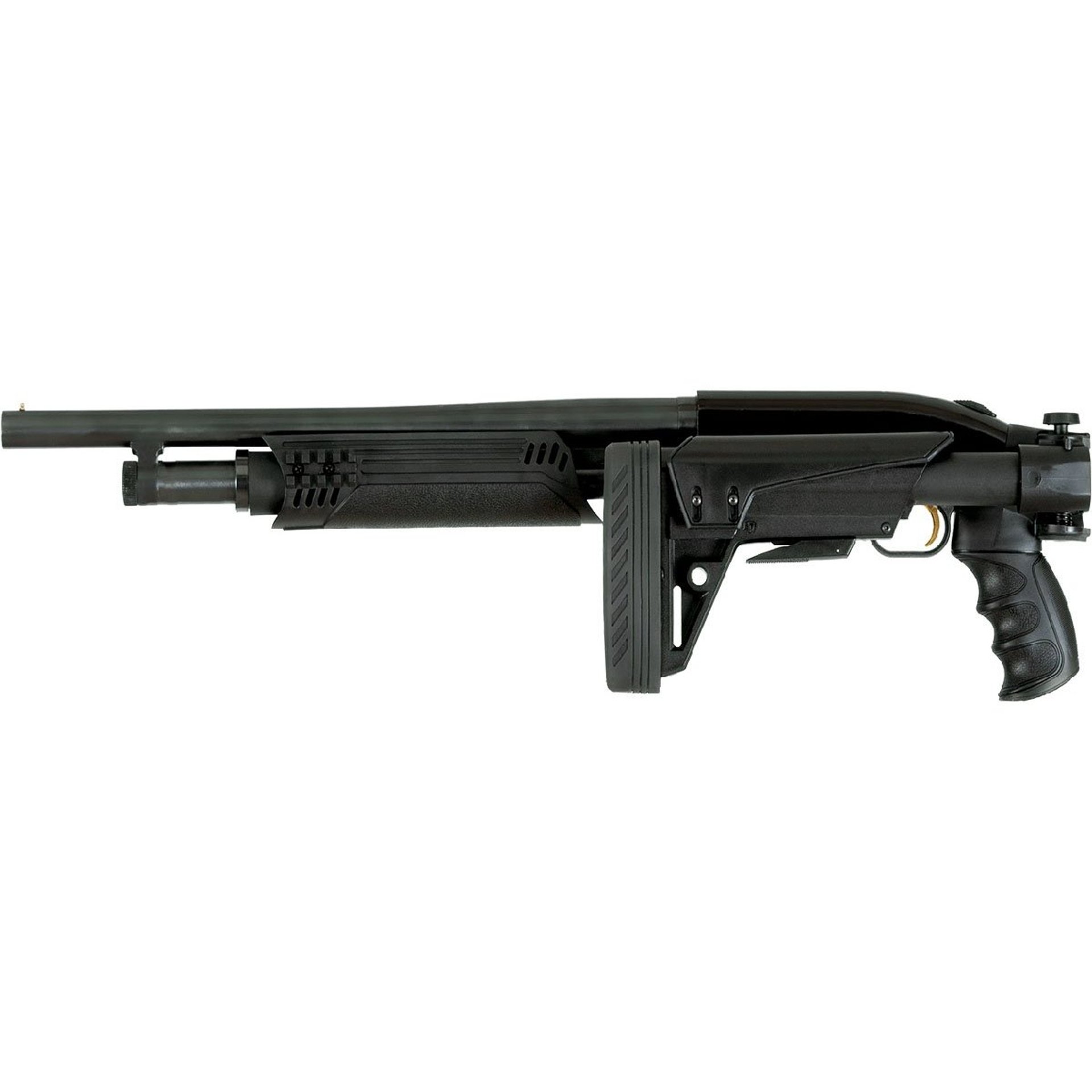 430112437_20W.jpg