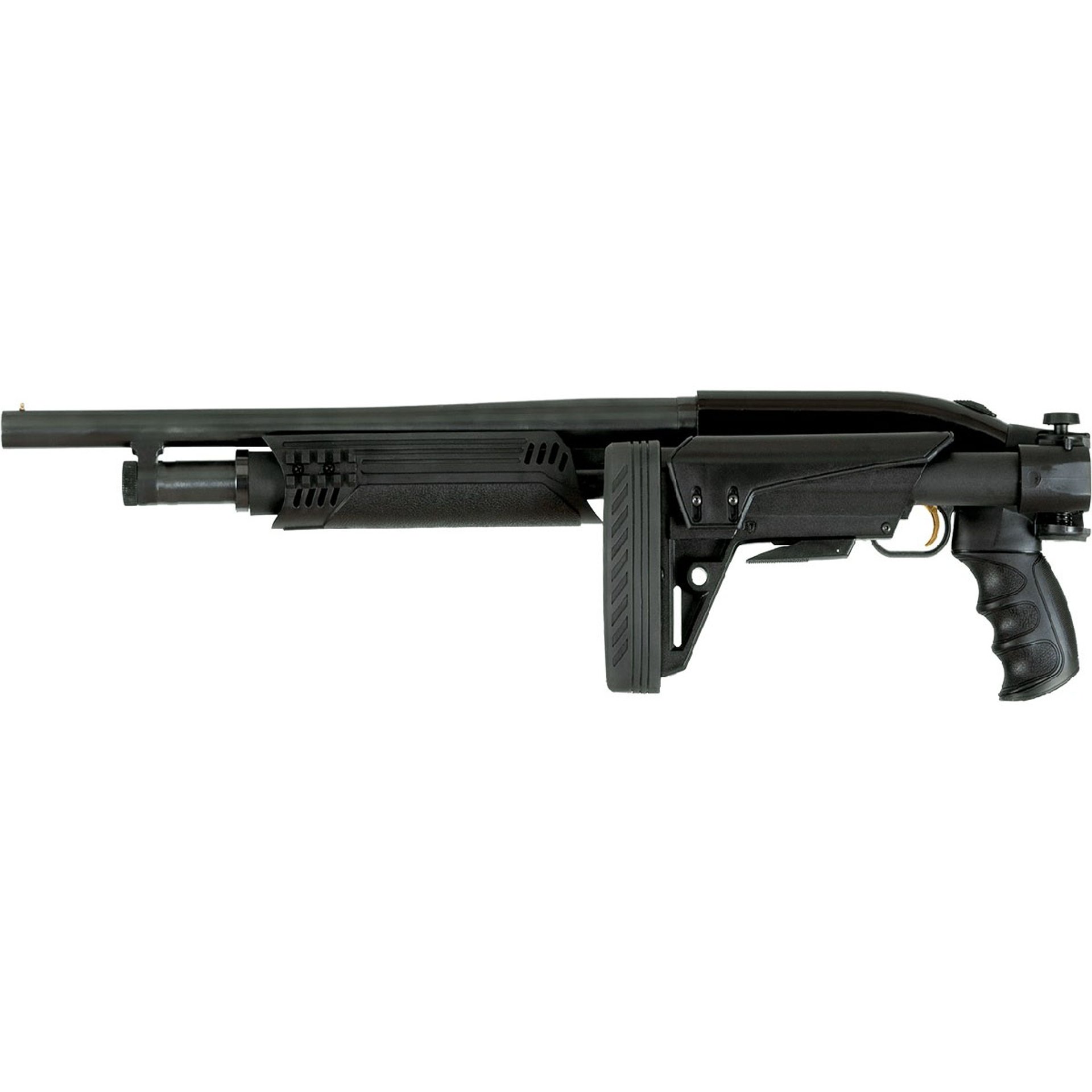 430112437_20W.jpg