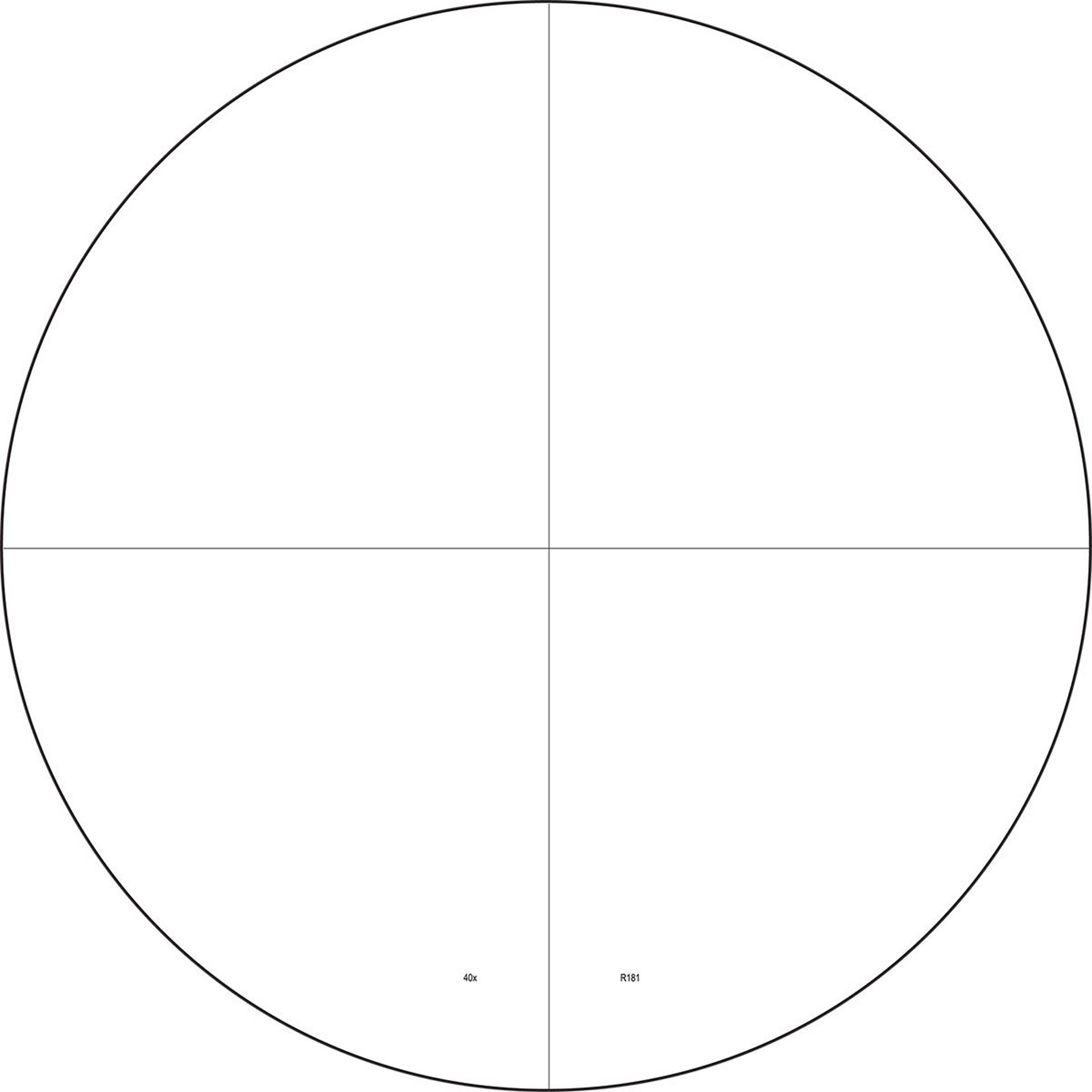 524000168_30W.jpg