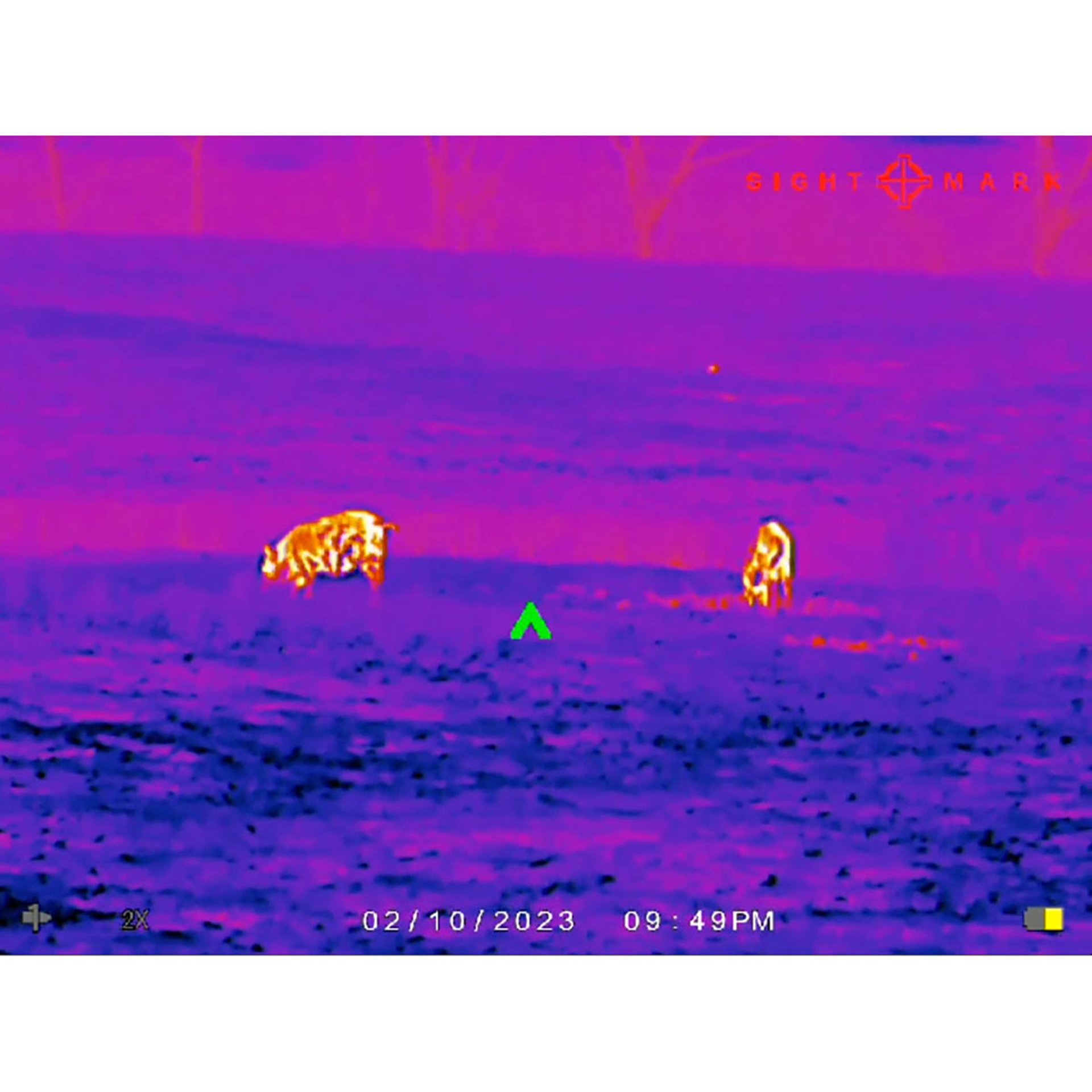 430111995_75W.jpg