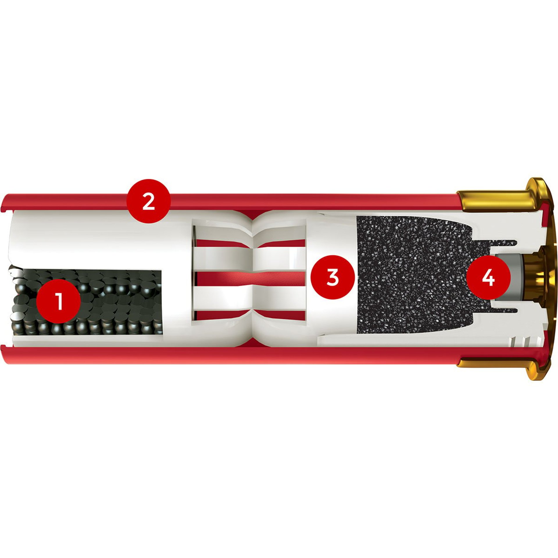 105004635_10W.jpg