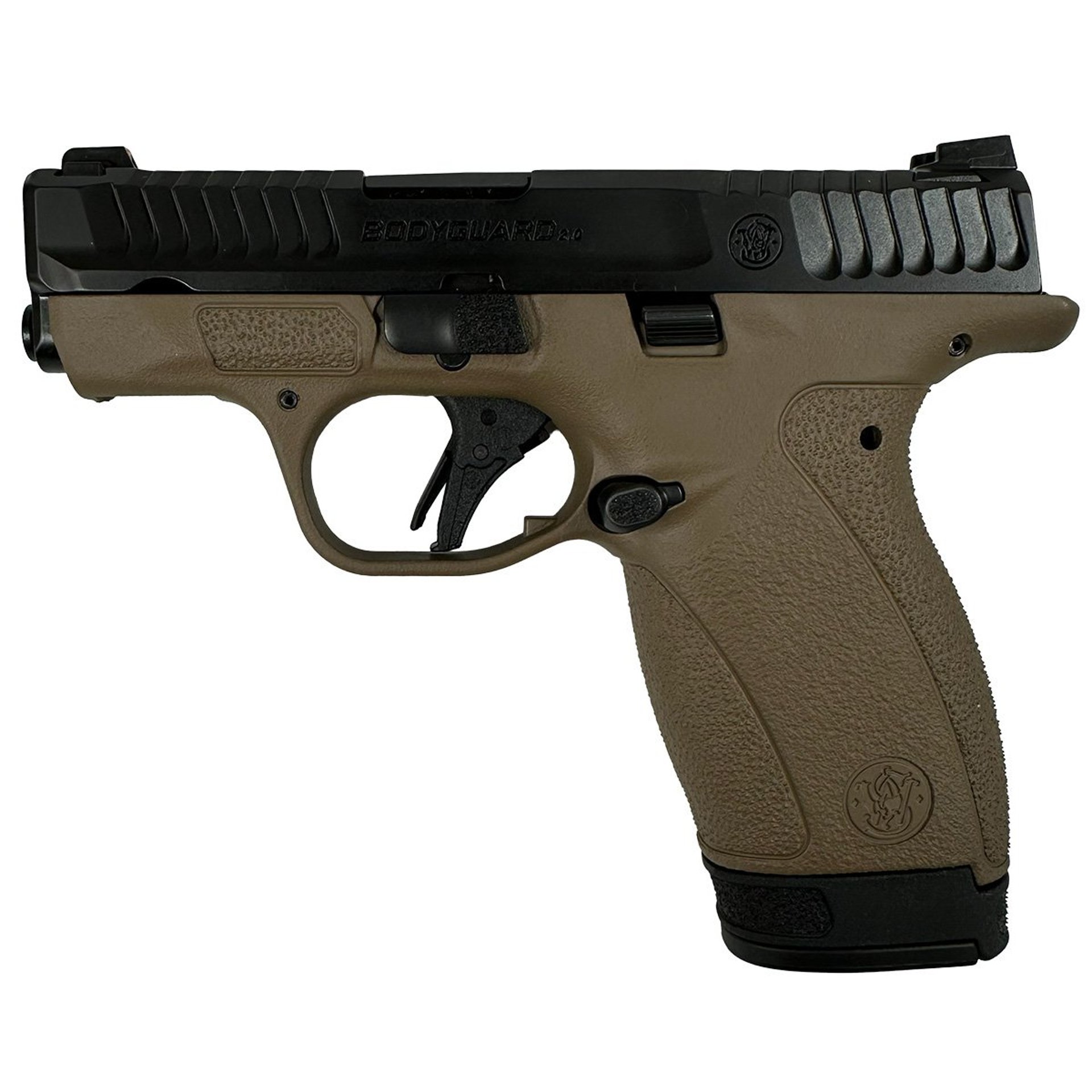 Bodyguard 2.0 380ACP (1)10&(1)12 Mags NTS FDE