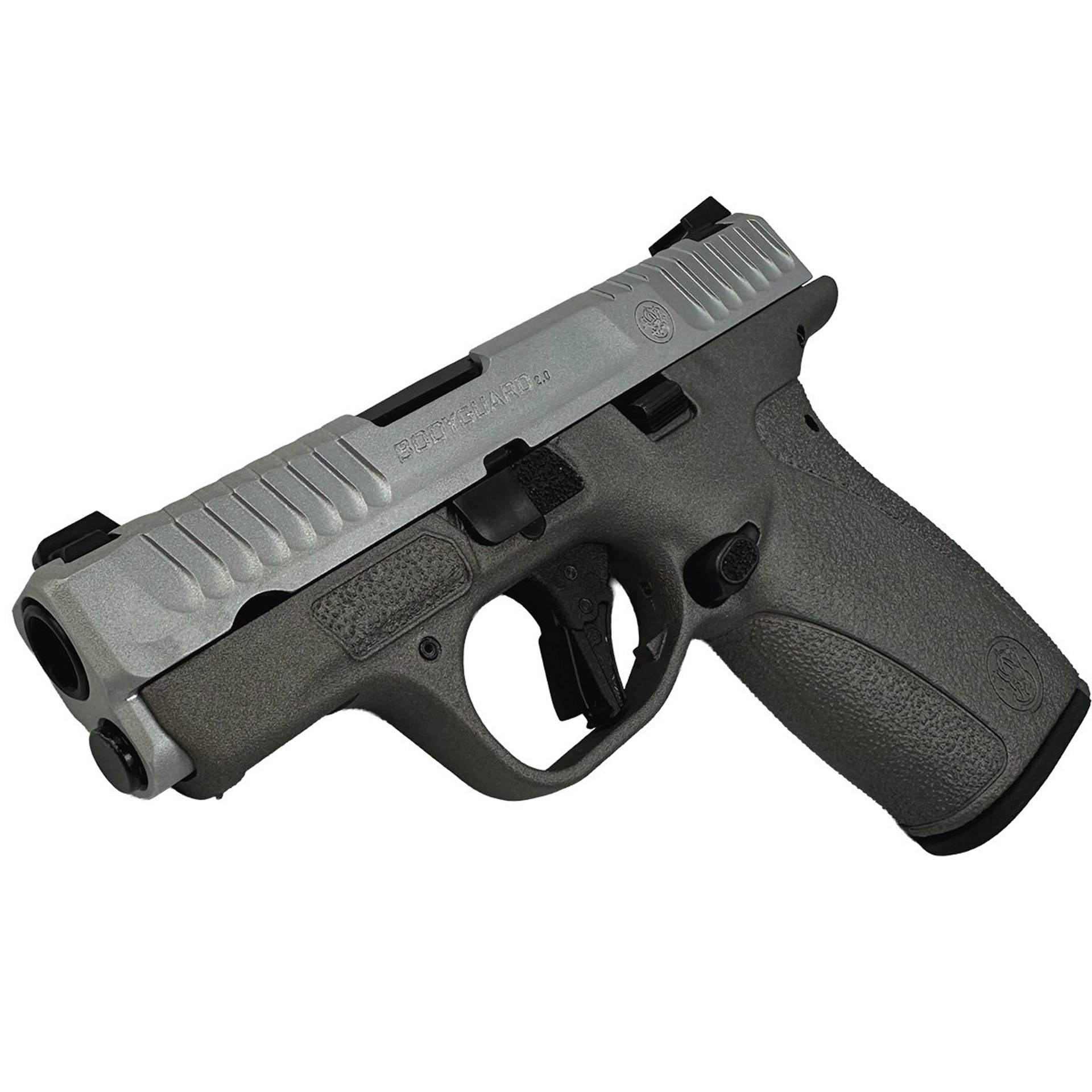 Bodyguard 2.0 380ACP (1)10&(1)12 Mags NTS Satin Gun Metal