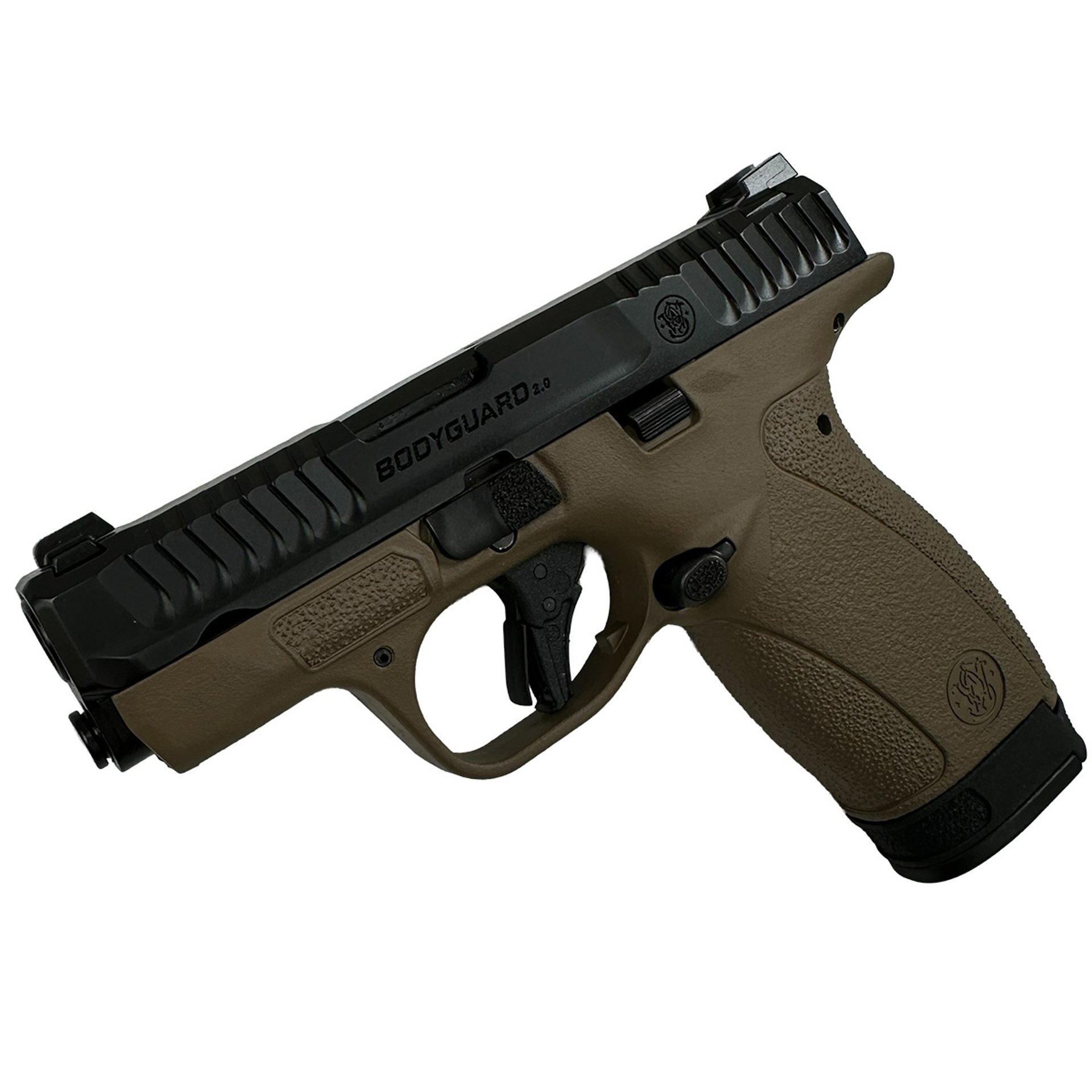 Bodyguard 2.0 380ACP (1)10&(1)12 Mags NTS FDE