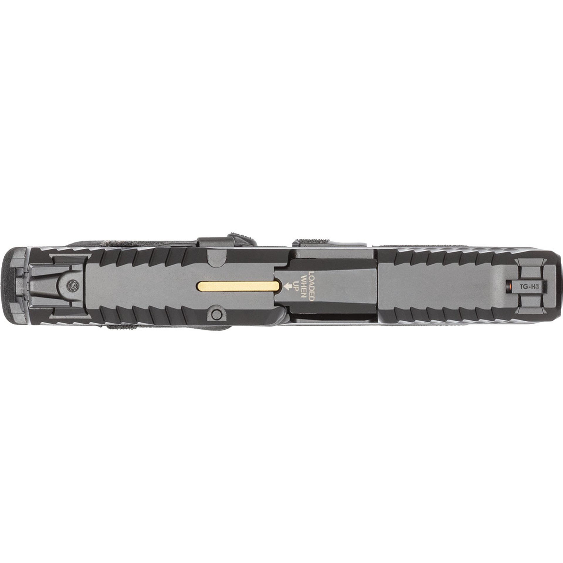 Bodyguard 2.0 380 ACP 2.75"BBL (2)10RD Mag TS CA Compl