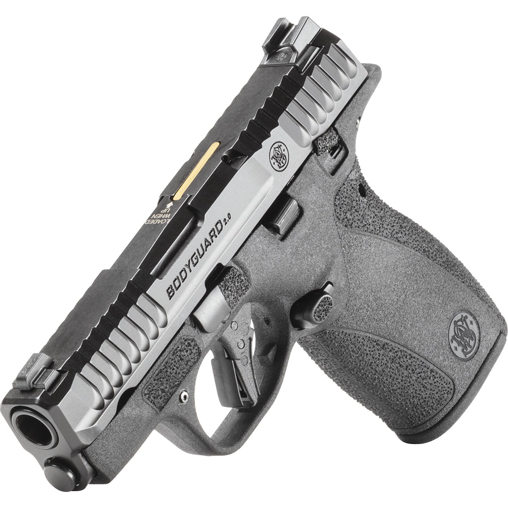 Bodyguard 2.0 380 ACP 2.75"BBL (2)10RD Mag TS CA Compl