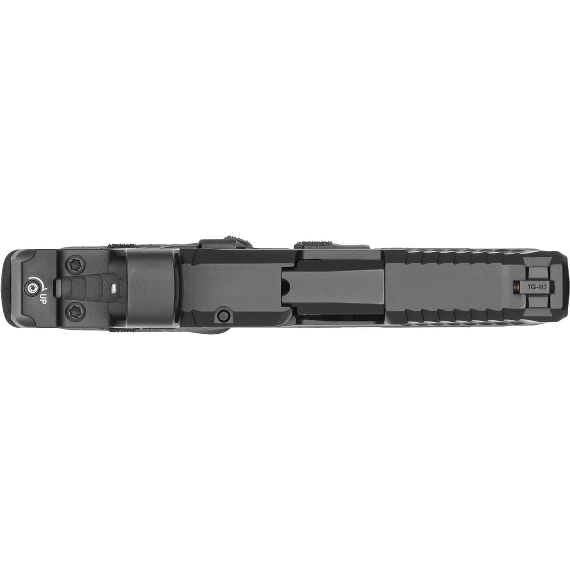Bodyguard 2.0 380 ACP 2.75"BBL (2)10 TS w/RFX1 BLK