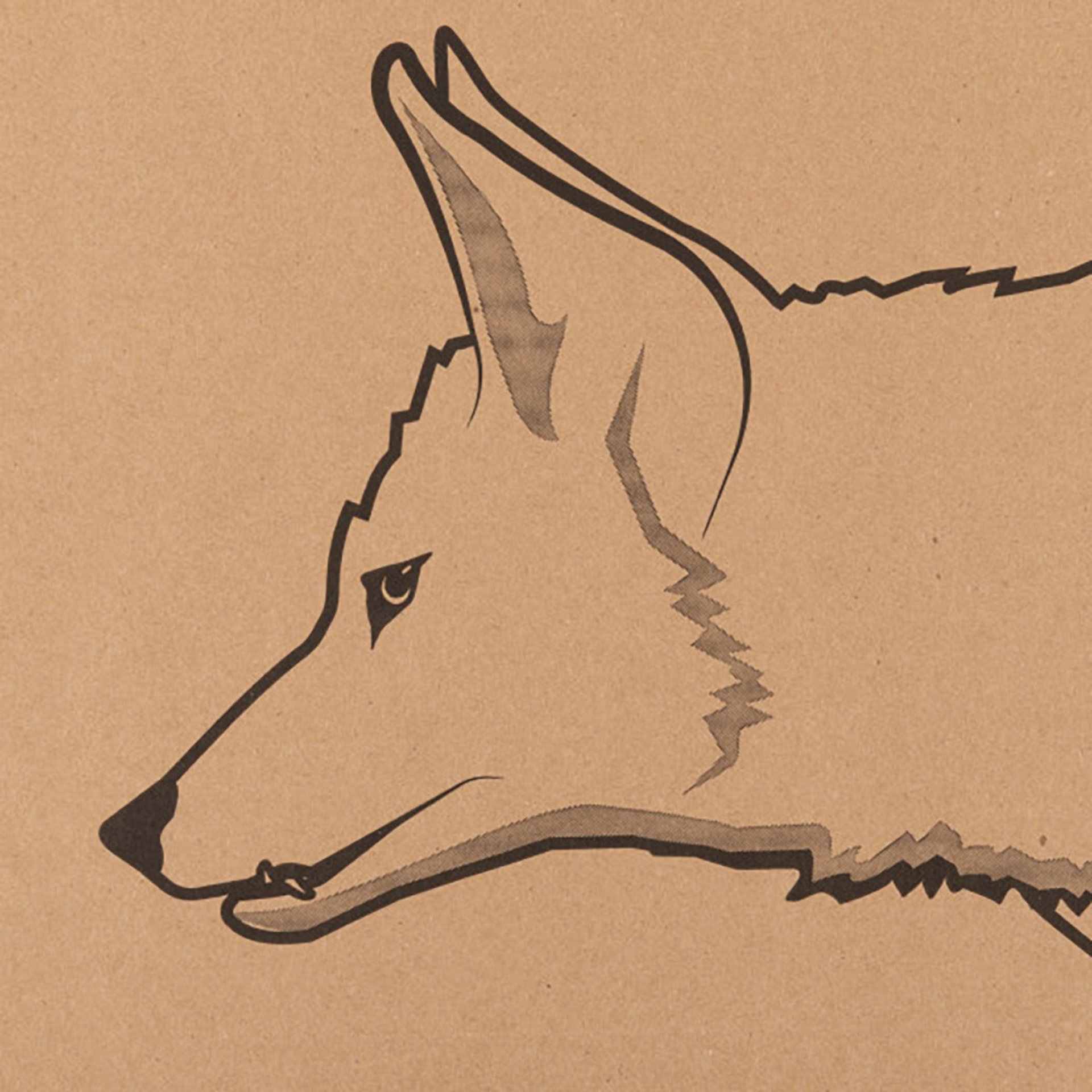 EZ Aim 23"x35" Coyote Silhouette Corrugated Target & Backer
