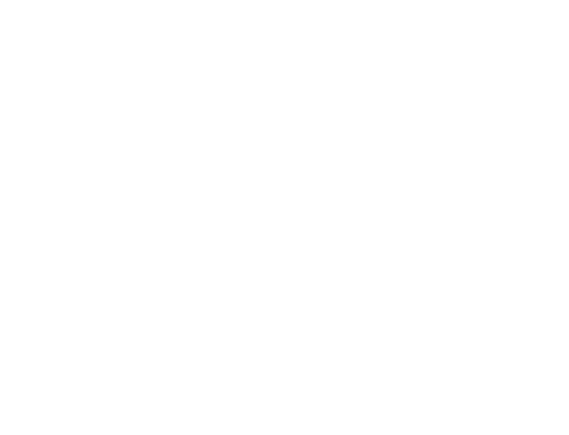 vortex-logo-white-smaller(2)