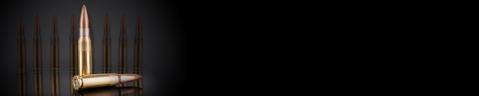 6279 Brownells Banners - Week 10_308 Ammo