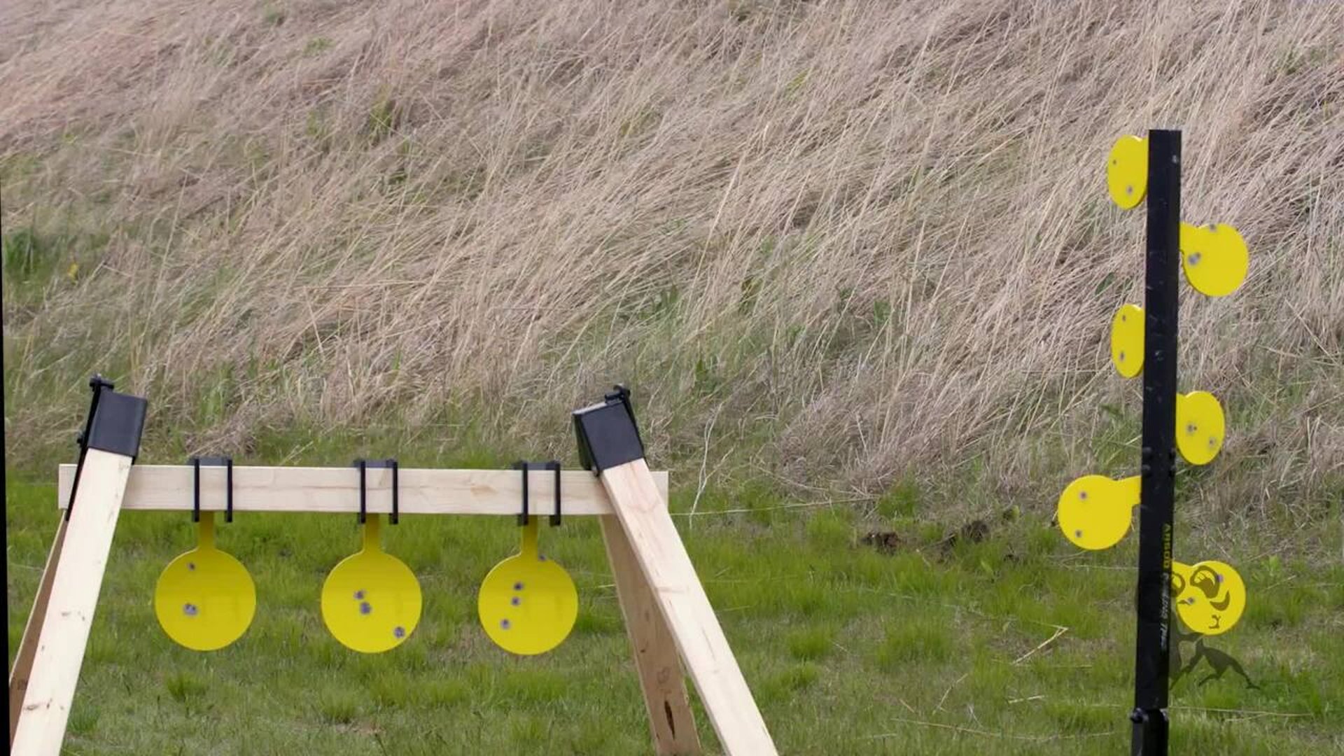 steel target