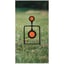 Double Spin Centerfire Handgun Swinging Target