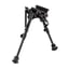 l_416000004_3.jpg