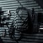 430113338_10W.jpg