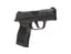 P365X 9mm Luger 3.1" BBL (2)12RD Mag W/Optic Plate Cover MS | UPC: 798681663873