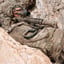 Halftrack Pack - Multicam