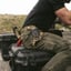 Leg Strap Kit Multicam