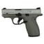 Bodyguard 2.0 380ACP (1)10&(1)12 Mags NTS Satin Gun Metal