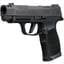 P365-XL COMP 380 ACP 3.1" BBL (2)10RD Mag NS Black