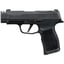 P365-XL COMP 380 ACP 3.1" BBL (2)12RD Mag NS Black