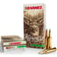 Havest 243 Win 90gr Sierra TGK Polymer Tip 20/Box