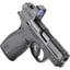 Bodyguard 2.0 380 ACP 2.75"BBL (1)10(1)12RD NTS w/RFX1 BLK