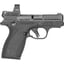Bodyguard 2.0 380 ACP 2.75"BBL (2)10 TS w/RFX1 BLK
