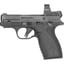 Bodyguard 2.0 380 ACP 2.75"BBL (2)10 TS w/RFX1 BLK