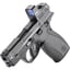 Bodyguard 2.0 380 ACP 2.75"BBL (1)10(1)12RD TS w/RFX1 BLK