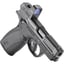 Bodyguard 2.0 380 ACP 2.75"BBL (2)10 TS w/RFX1 BLK