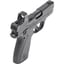 Bodyguard 2.0 380 ACP 2.75"BBL (1)10(1)12RD TS w/RFX1 BLK