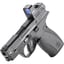 Bodyguard 2.0 380 ACP 2.75"BBL (1)10(1)12RD NTS w/RFX1 BLK