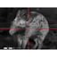 Cronus ATS Pro 50L-640 2.95-23.6x50mm 640x480 Res w/LRF
