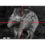 Cronus ATS Pro 50L-640 2.95-23.6x50mm 640x480 Res Black