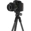 Bantam ARCA Tripod & Deathgrip Bantam Head Combo