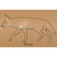 EZ Aim 23"x35" Coyote Silhouette Corrugated Target & Backer